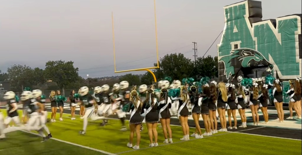 Orange County football mom who stole $411,000 from high school team busted in FBI raidÂ