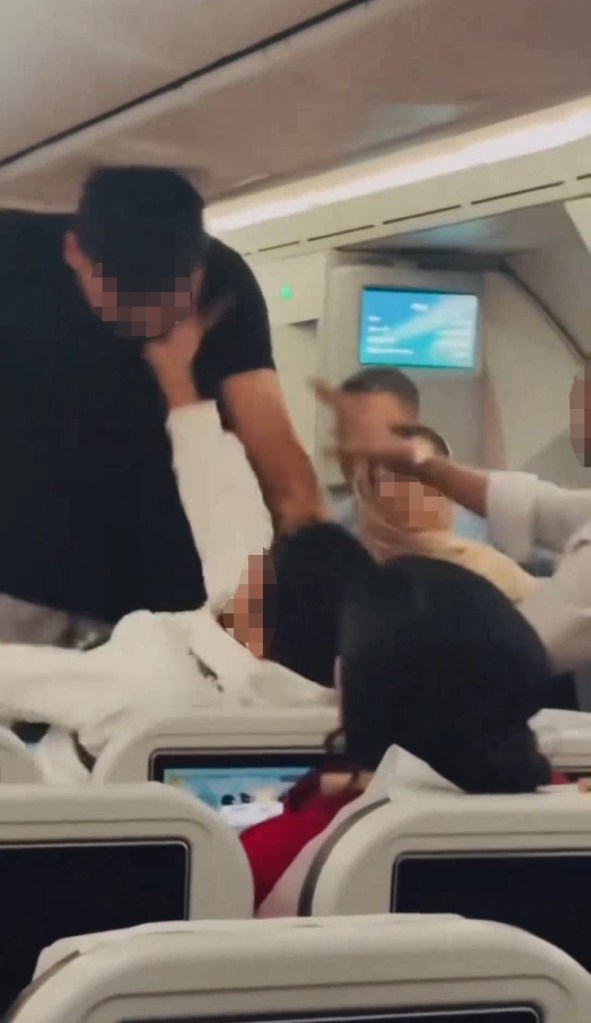 Plane passengers trade blows in wild mid-flight brawl in front of terrified kids