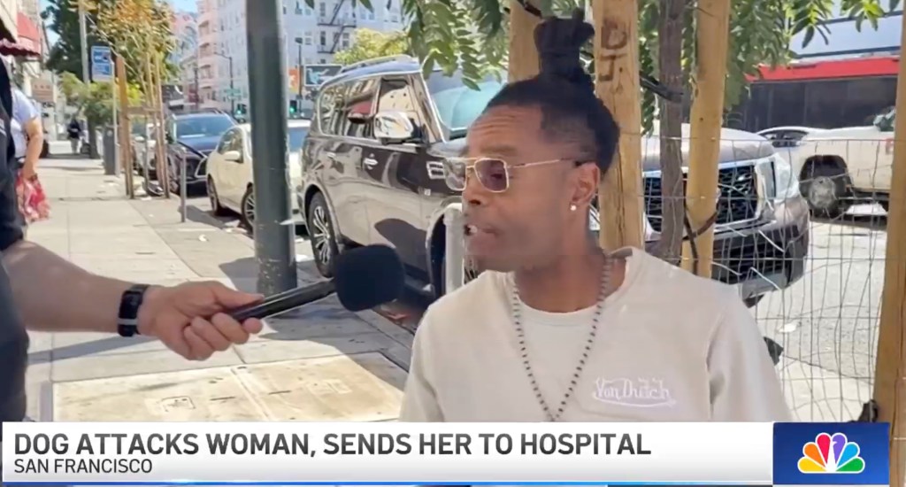 Massive pitbull viciously mauls woman on California street as blood drips off its face