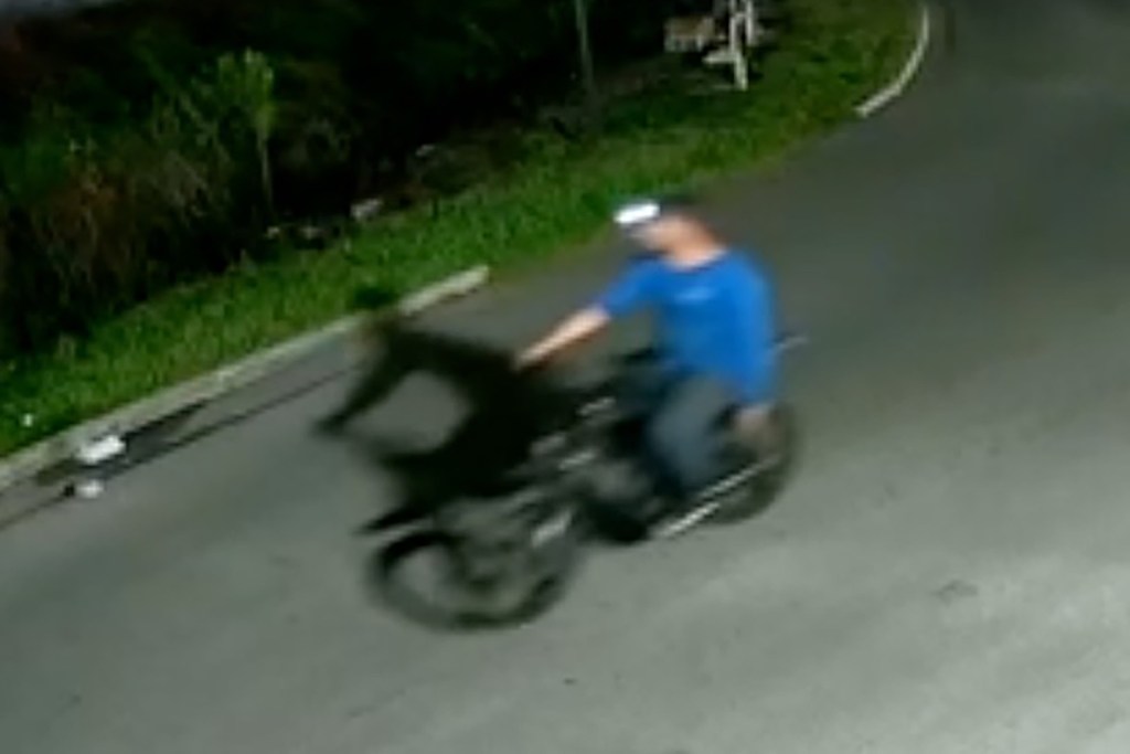 Horrifying footage shows serial cat killer shooting stray after getting off e-bike