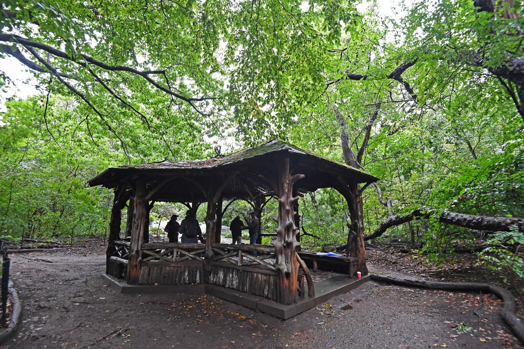 Woman beaten to death in Central Park ID’d as beloved homeless artist famed for painting birds