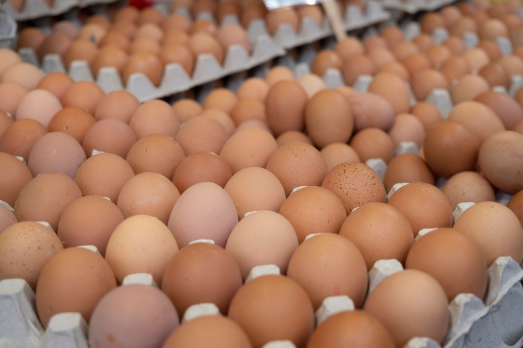 Texas AG Ken Paxton announces giveaway of 7 million free eggs