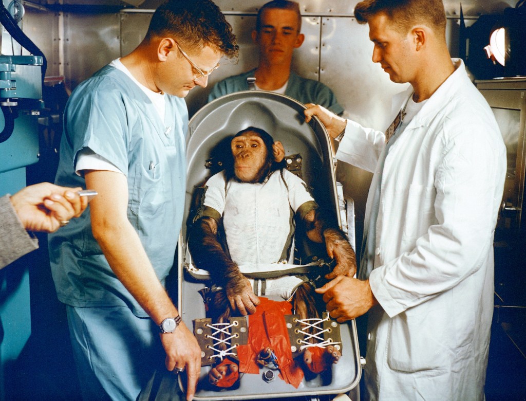 How hero astronaut animals paved the road to modern space travel