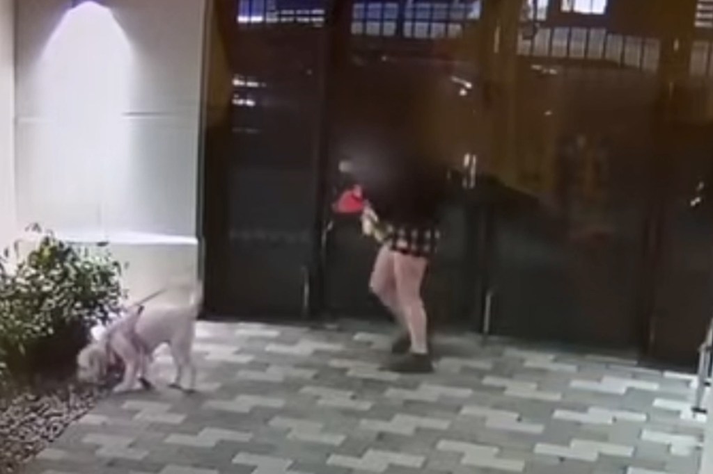 Terrifying moment homeless man chases California college student into her off-campus home