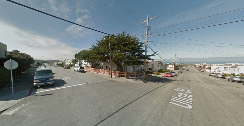 Mountain lion spotted prowling in San Francisco yards as officials issue warning to neighbors