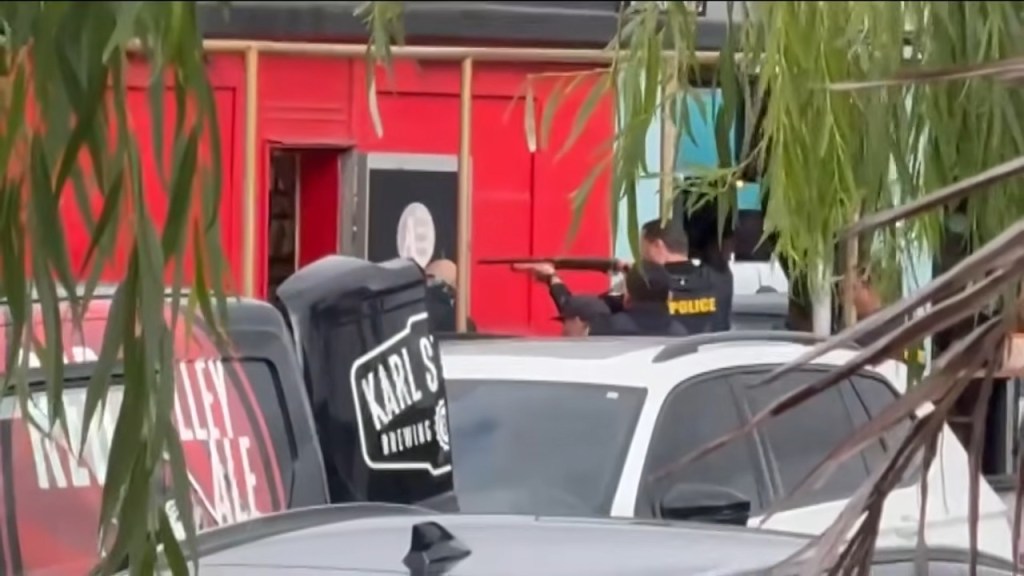 Police dog burned as suspect tries to torch adult store in San Diego shooting