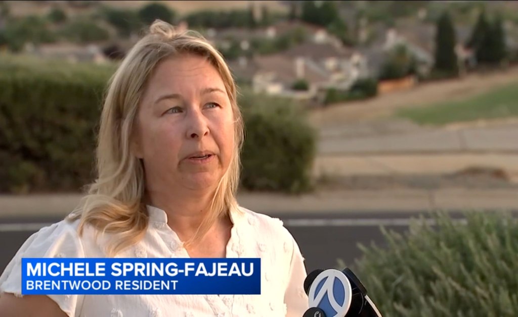 Posh California community goes ballistic after HOA rolled out network of dystopian spy cameras