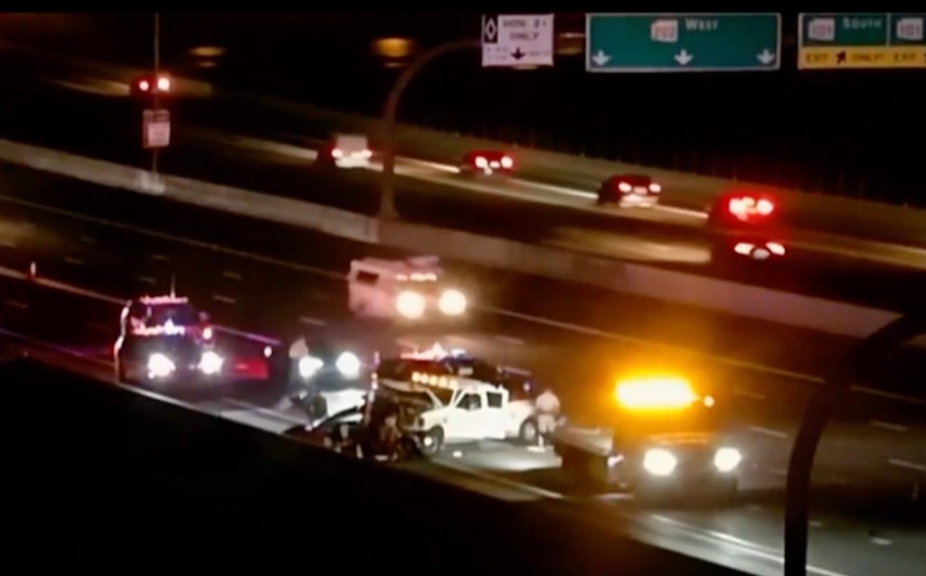 Tesla on autopilot halts on busy highway before giant F-350 truck rear-ends and kills driver