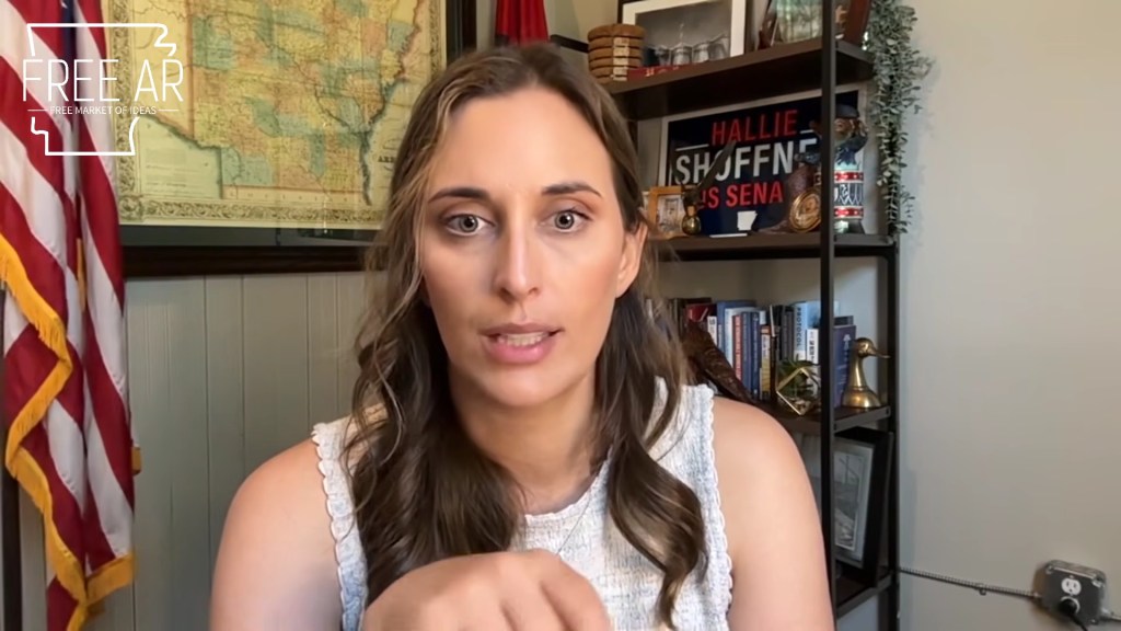 Arkansas Dem Senate candidate faces fury for suggesting illegal aliens should replace American workers