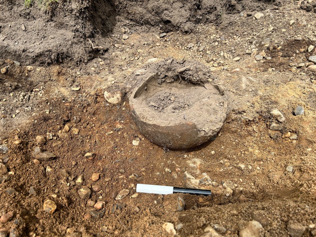 ‘Strange sound’ leads homeowner to unearth massive Viking silver hoard while digging for new patio