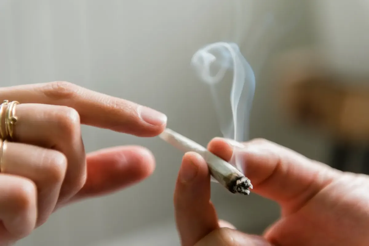 Scientists reveal how weed impacts the brain causing more 'stress hormones' in new study
