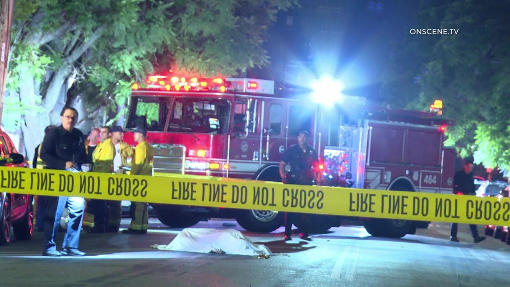 Horrific moment hit-and-run driver kills boy, injuries sister in front of their mom as screams ring out in LA