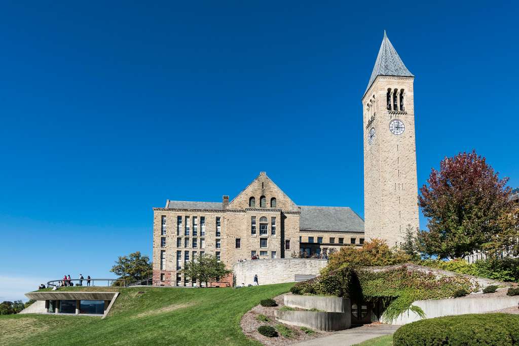 Cornell frat bros gang-rape student, texting, ‘Free p—y’ during sick assault: shocking lawsuit