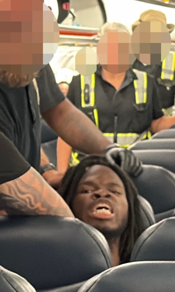 Haitian illegal immigrant gang member who went viral yelling ‘Biden forever’ during ICE arrest deported