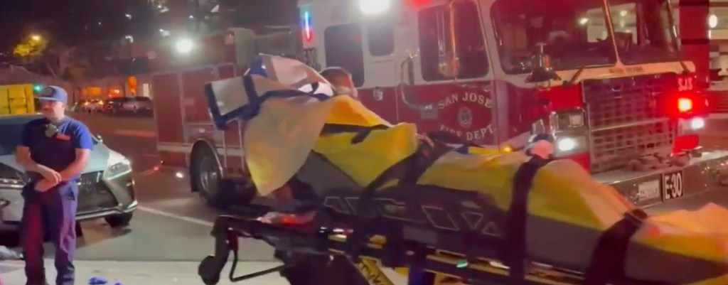 Distrubing scenes at California EDM show as 14 concertgoers hospitalized