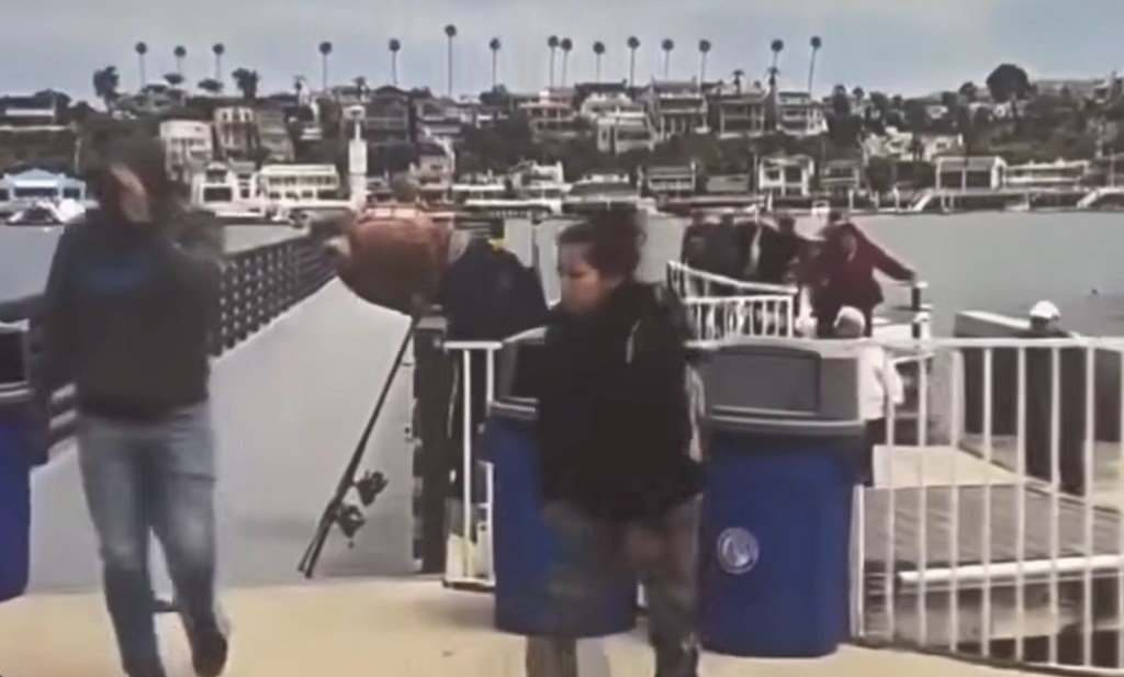 Large group of suspected illegal migrants dumped in ritzy California harbor before fleeing among mansions