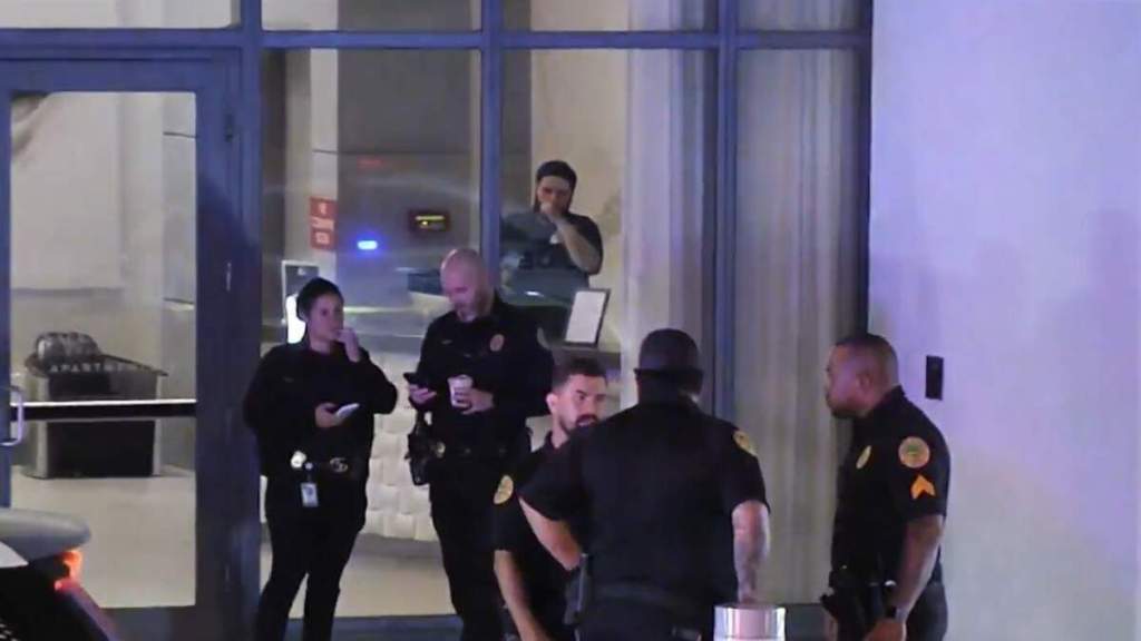 Manager of ritzy Miami steakhouse accused of stabbing mom to death inside luxury high-rise apartment