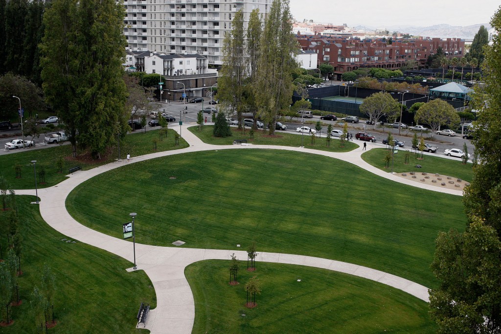 San Francisco residents fume as iconic trees are axed in $40M park revamp