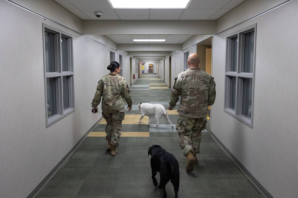 Deaf dog surrendered as puppy to now deploy with National Guard
