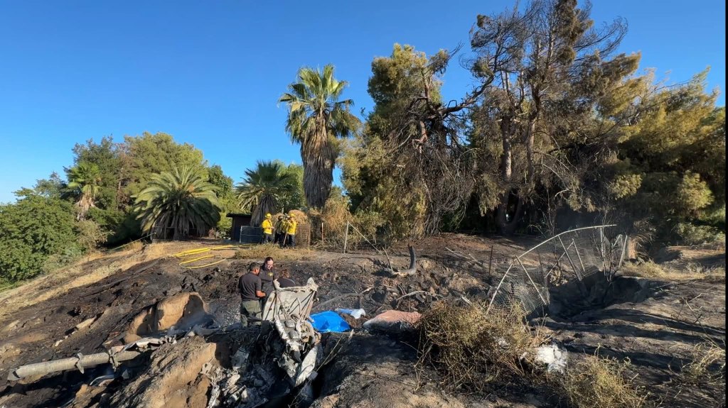 Woman is third person to die in fireball plane crash that killed two kids in California