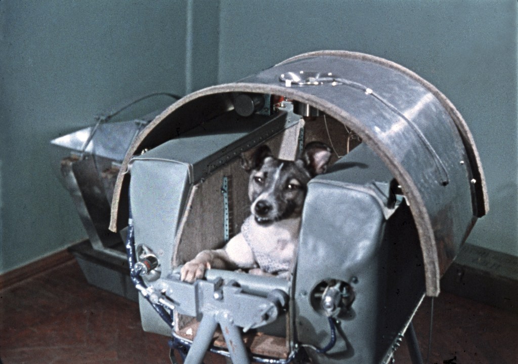 How hero astronaut animals paved the road to modern space travel