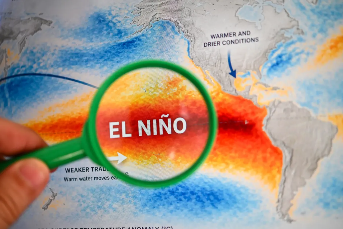 El Niño estimated to cause 450,000 deaths in nine months as people urged to stock up on specific items