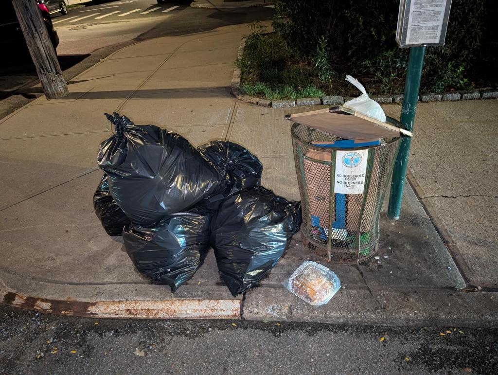 Snitches get riches: NYC woman wins $4K for ratting out garbage dumper through city program