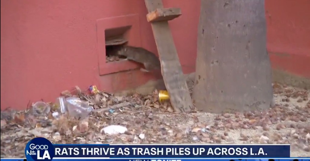 Outbreak of gross medieval disease sends six people to hospital in LA neighborhood