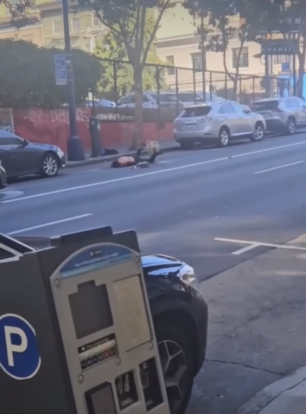 Woman horrifically mauled by massive pit bull in San Francisco reveals what really sparked attack