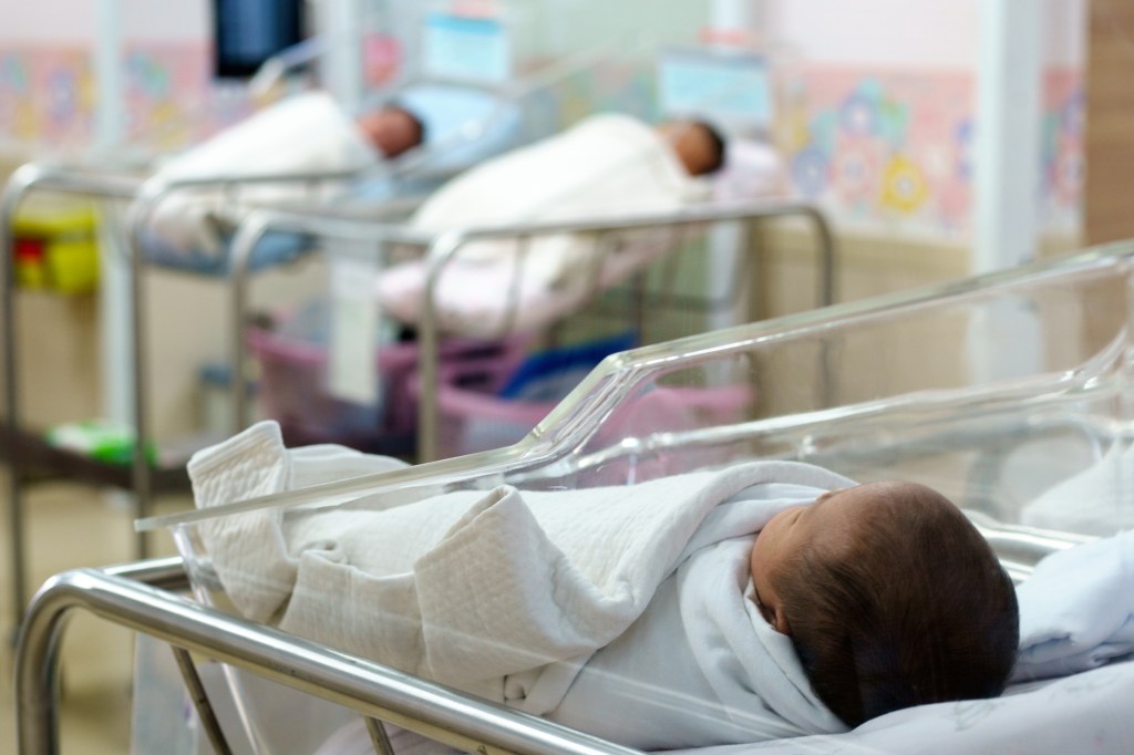 US fertility rate plummets by a quarter in less than 20 years — and 25% of births are now to immigrant women