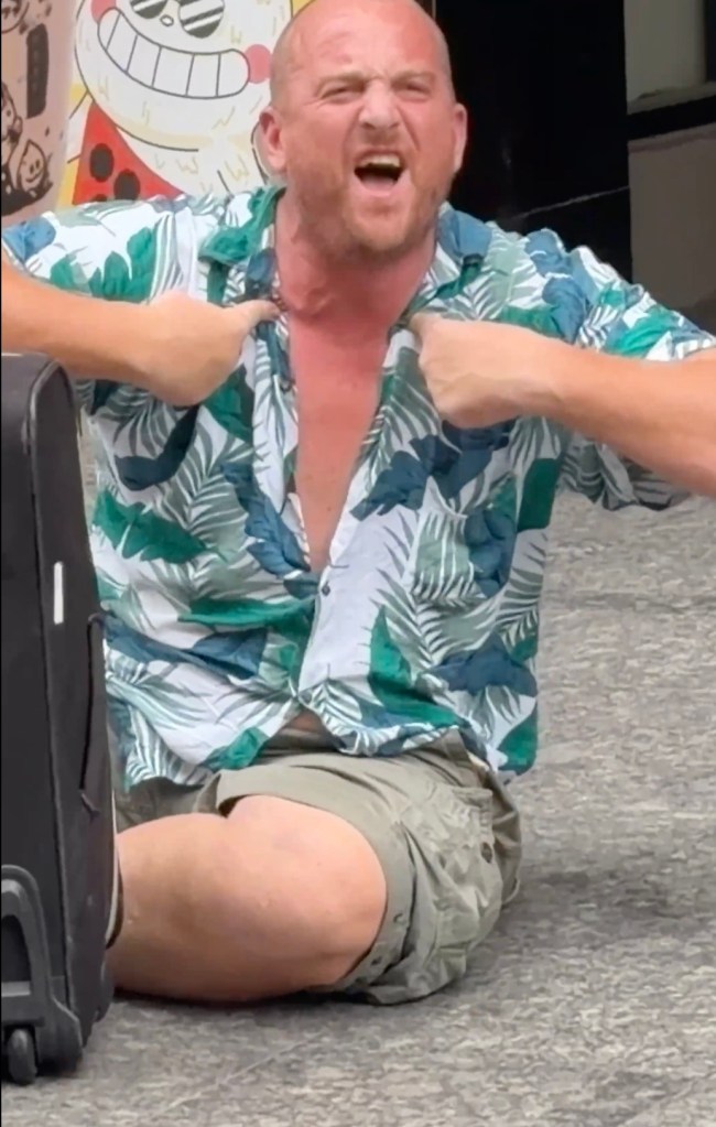 Drunk tourist tasered by cops after allegedly hurling racist insults, praising Adolf Hitler