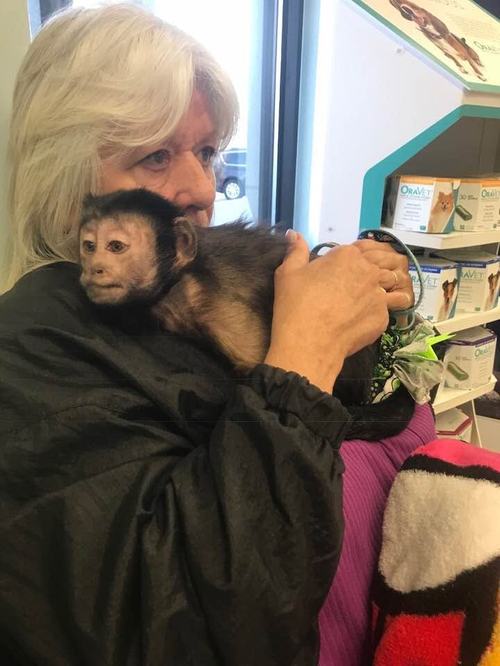Missouri foster mom accused of trading teen for monkey avoids prison