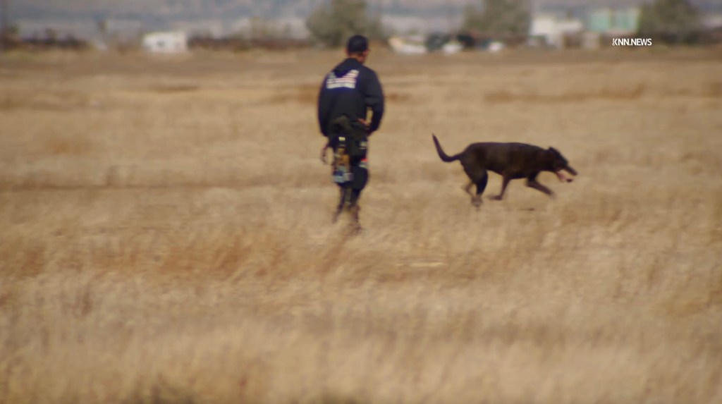 Frantic grave-digging effort in California desert uncovers human remains sparking murder investigation two weeks after man goes missing