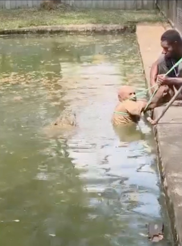 Chilling video shows crocodile chomp handler’s legs as he desperately fights for life: ‘He couldn’t scream’