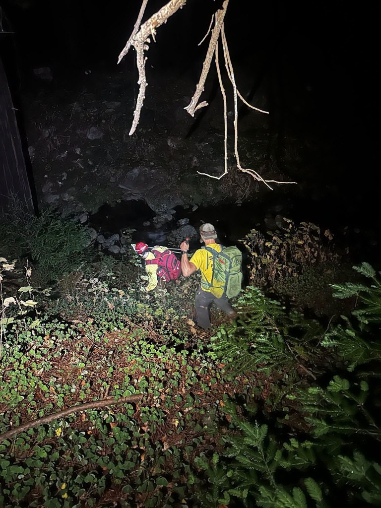 Dramatic moment three hikers after airlifted after getting lost in Big Sur wilderness