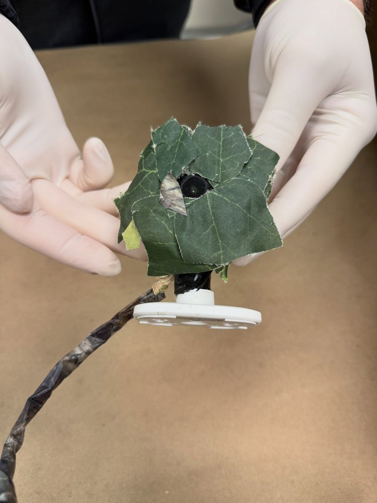 Insidious device found near SoCal home as cops issue urgent warning