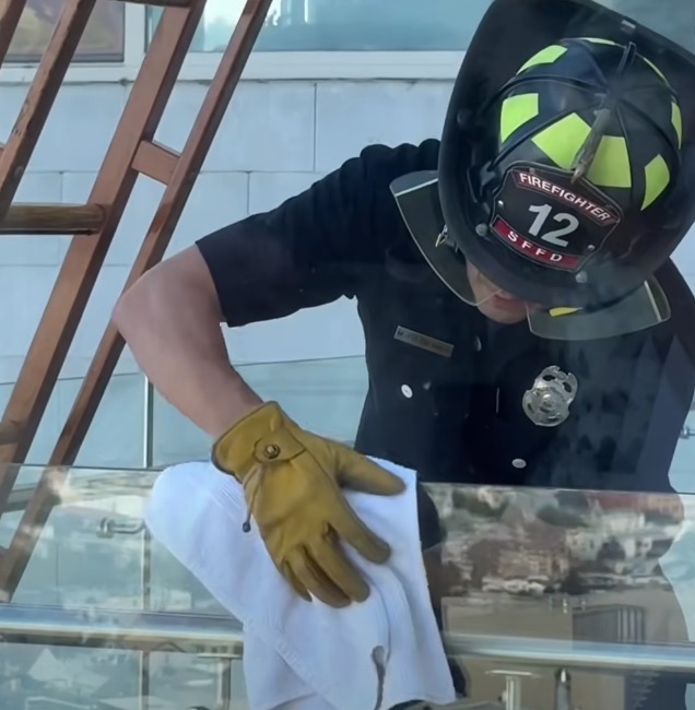 Exotic bird gets high-flying rescue from SF balcony — as parrots flock to celebrate