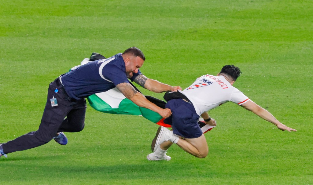 Palestinian flag-waving idiot identified after charging onto field at Yankee Stadium on 9/11 anniversary