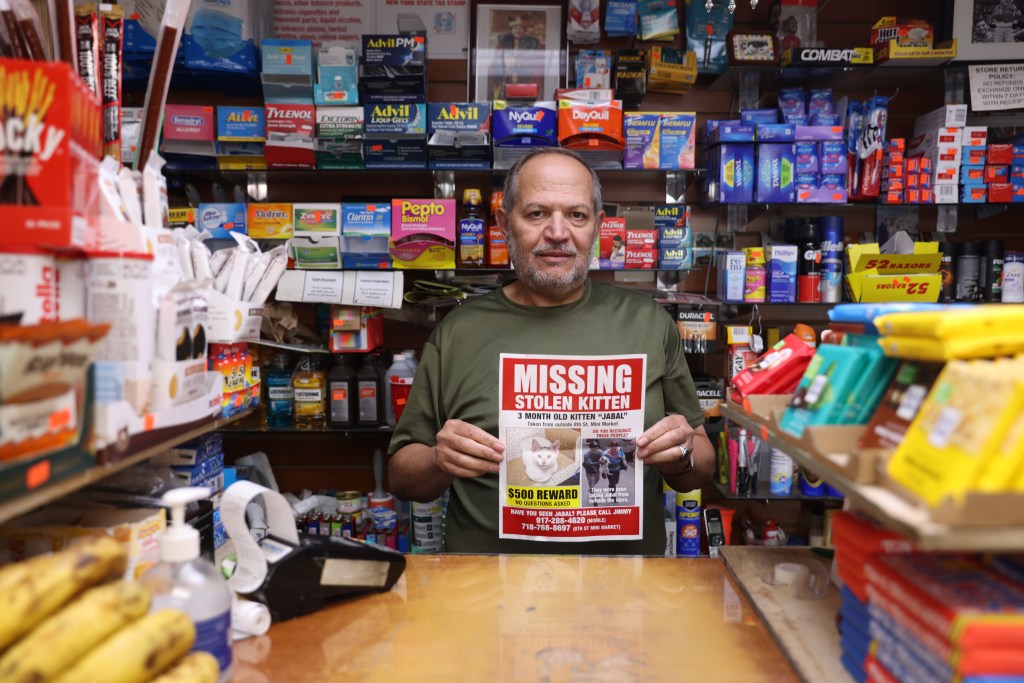 Beloved NYC bodega cat stolen from store as kitty’s fans have their claws out for the petnappers