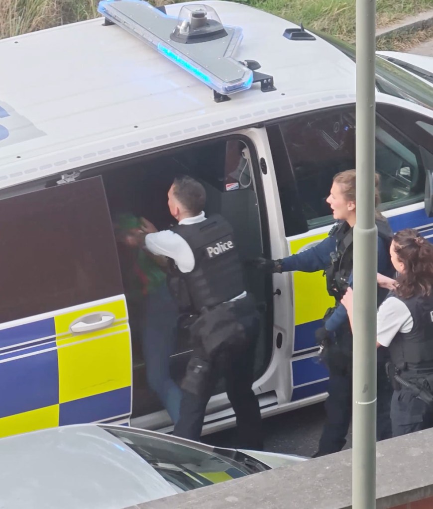 Shocking video of Belgium police officer slapping handcuffed woman across the face sparks outrage