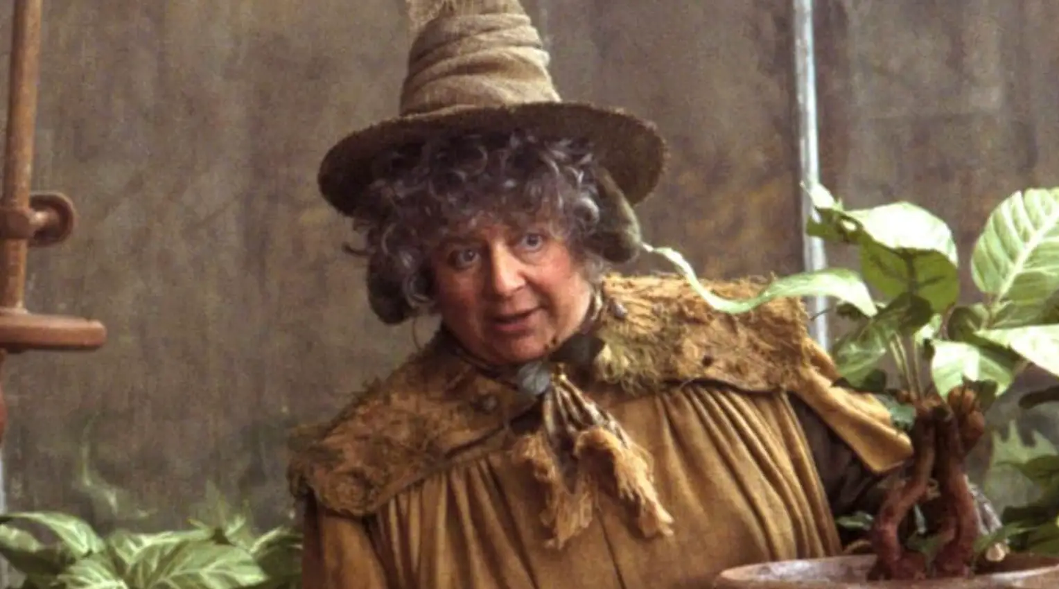 Miriam Margolyes sparks fresh outrage with new Harry Potter claim