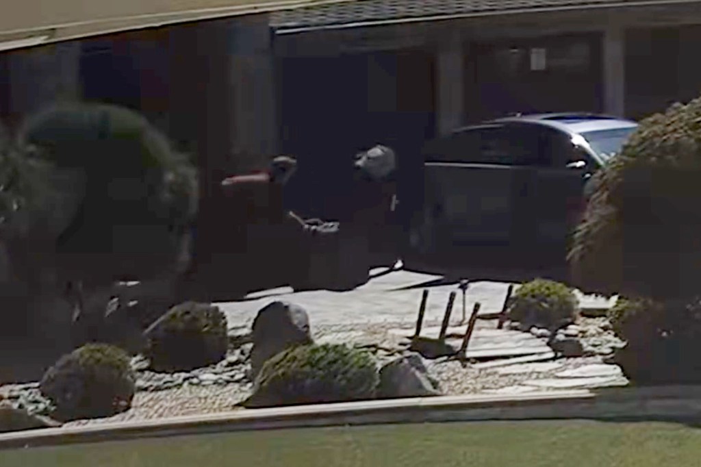 Thief in Amazon delivery disguise cases house before bringing back friends to rob it