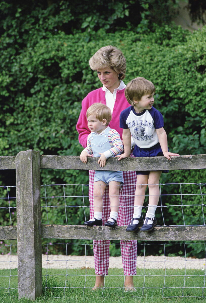 Princess Diana’s brother exposes King Charles’ ‘odd wish’ for her tragic funeral