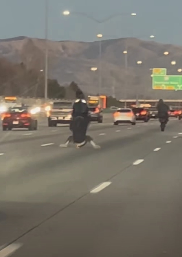 Instant karma for motorcyclist showing off on busy highway