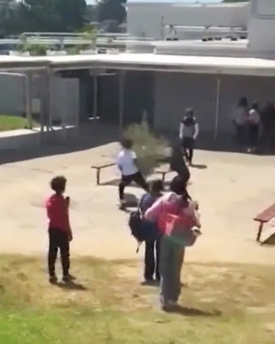 LAUSD high school horror as knife-wielding student attacks another, sending screaming kids fleeing