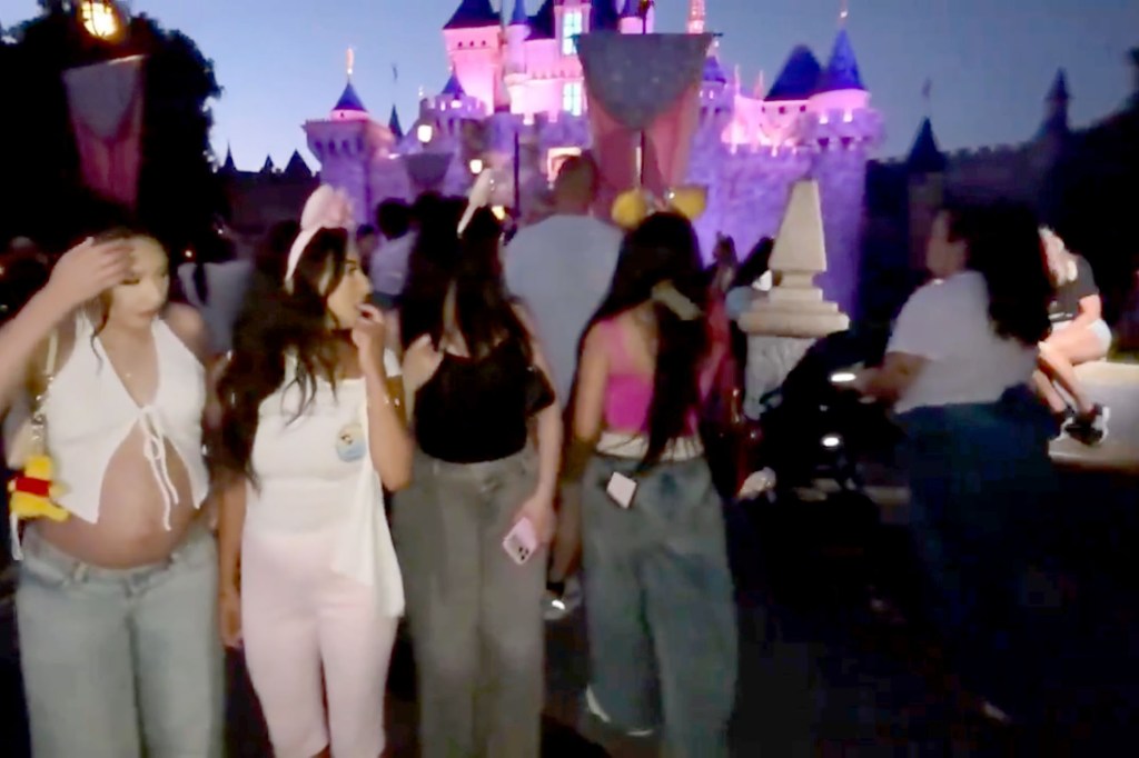 Woman outs Disneyland groping suspect after caught on camera attack: ‘He will not get away with this’