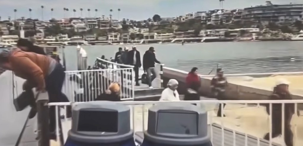 Large group of suspected illegal migrants dumped in ritzy California harbor before fleeing among mansions