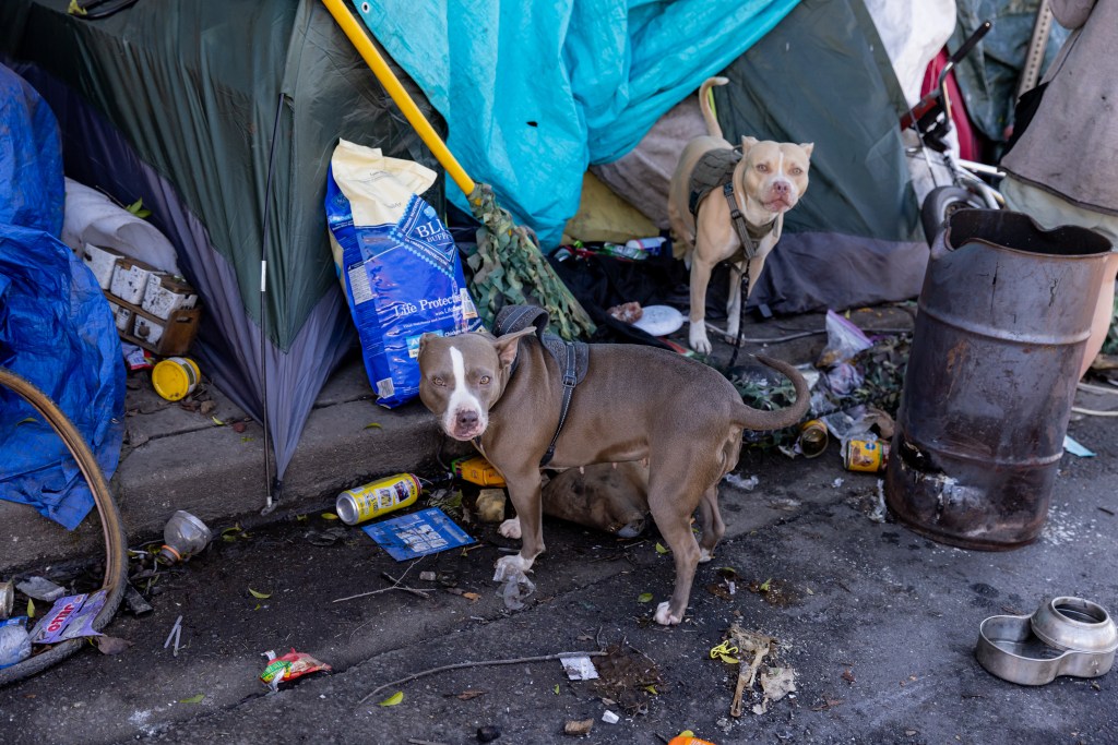 Deadly rat urine disease linked to infested RV after hazmat crews swooped on massive California tent city