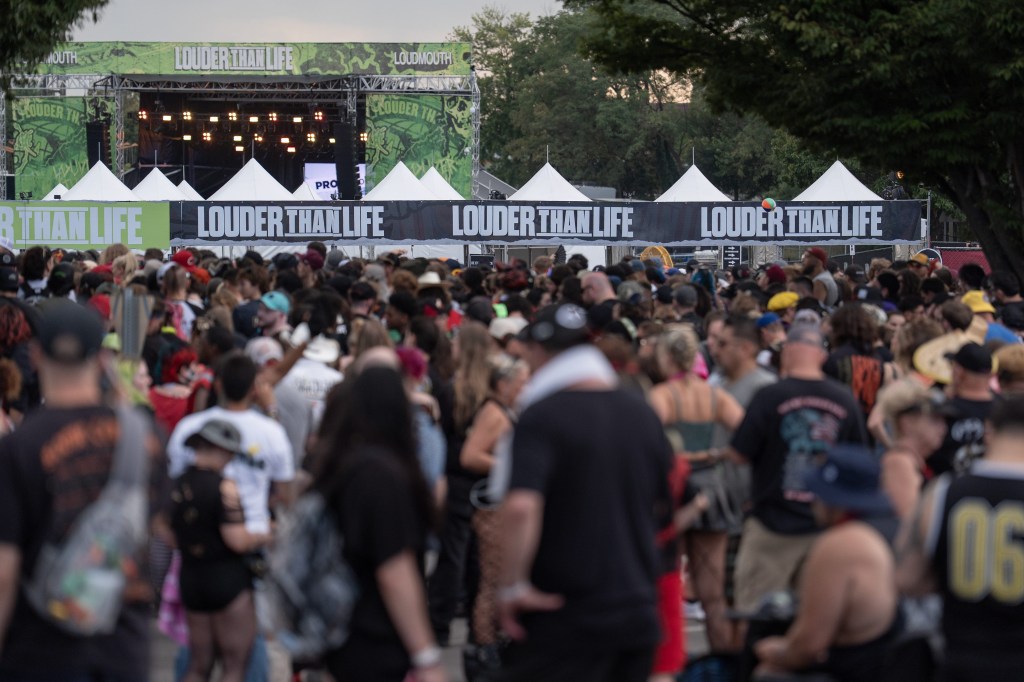 Festivalgoer paralyzed after man falls from tree and lands on her while a band was playing