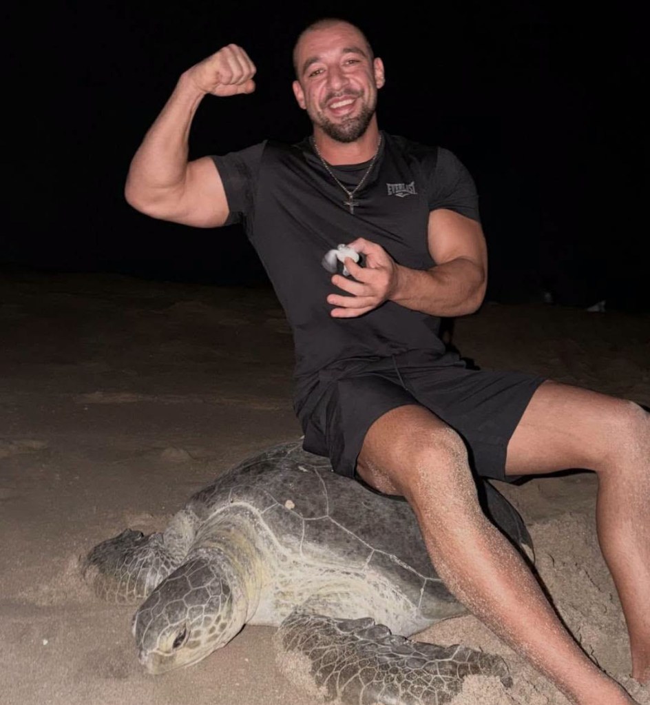 ‘Scum of the earth’ tourists ignite international backlash after filming themselves riding egg-laying sea turtle